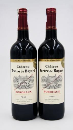 Château TERTRE DE BAYARD BOR RGE